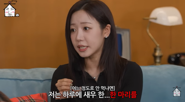 유튜브 '집대성'