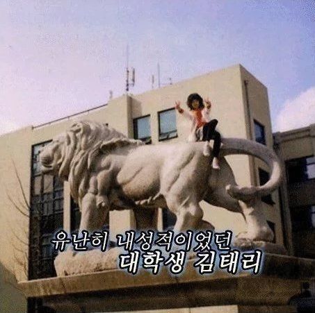 온라인 커뮤니티