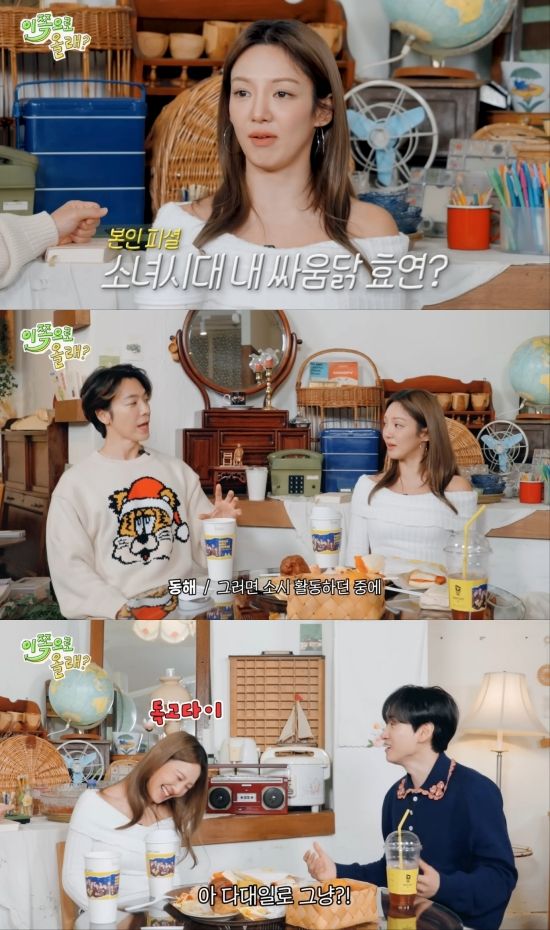 '동해물과 백두은혁' 효연