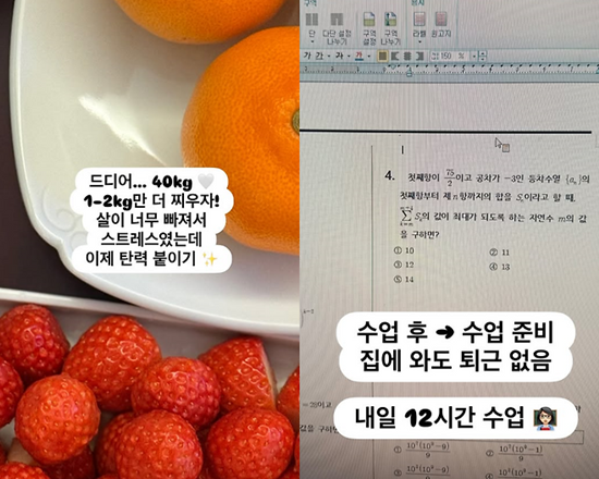 류시원 아내 이아영 SNS