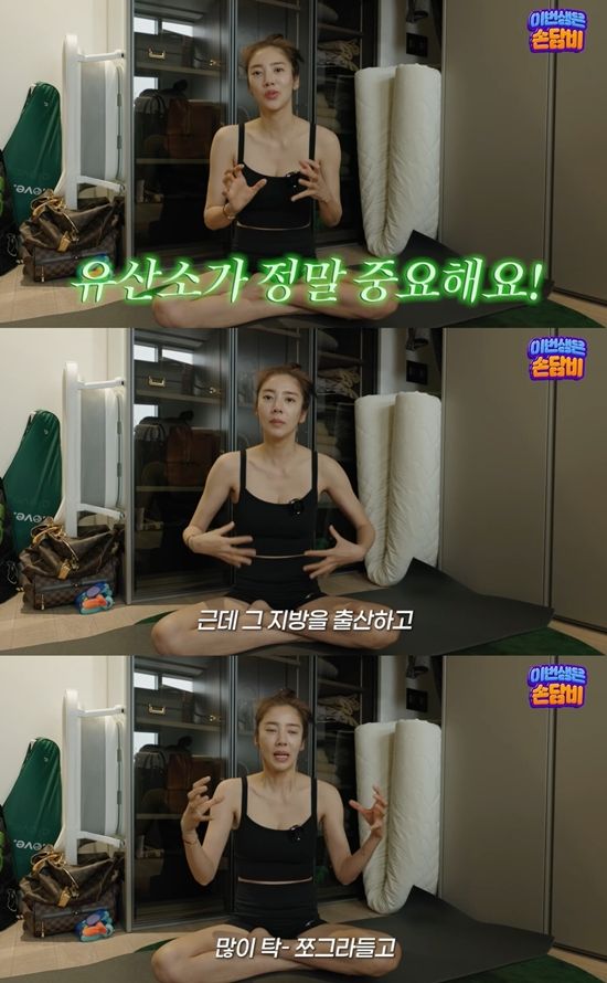 담비손 DambiXon 채널 캡처