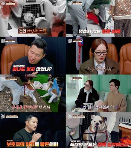 채널A '개와 늑대의 시간2'