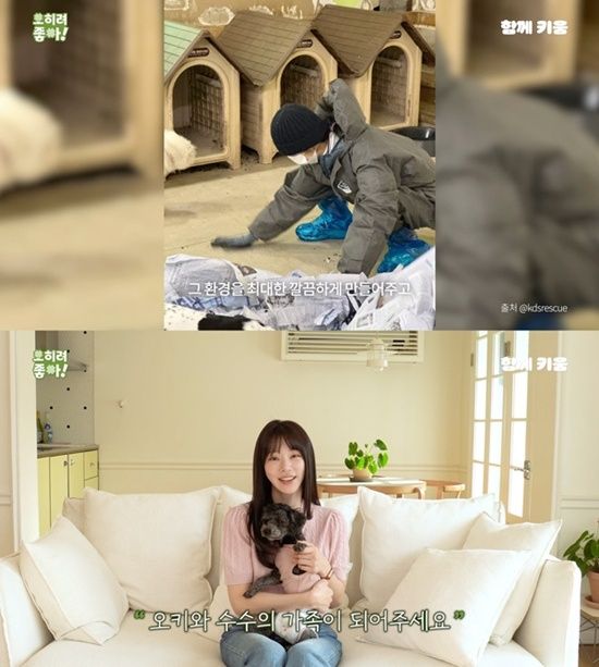 유튜브 채널 '함께 키움'