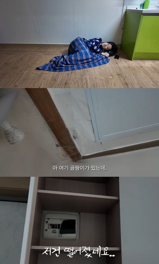 유튜브 '경혜볼래'