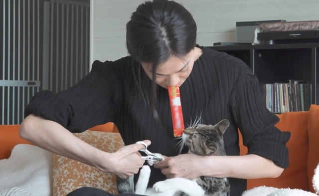 MBC '나 혼자 산다'