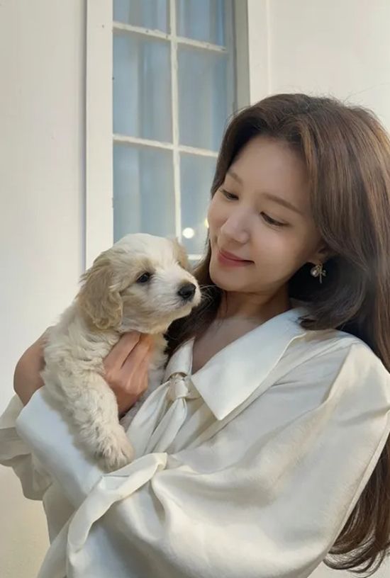 정시아 개인 계정