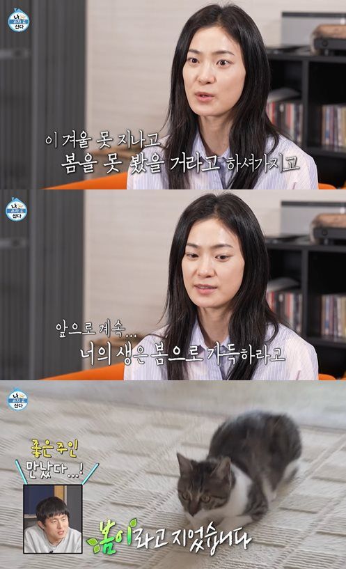 유튜브 '나혼자산다 STUDIO'