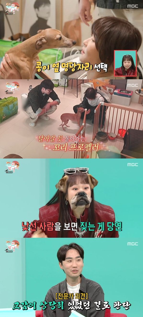 사진= MBC '전지적 참견 시점'