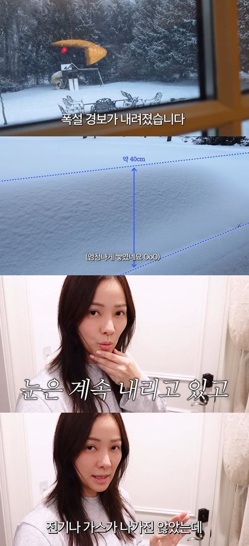 유튜브 'Mrs.뉴저지 손태영'