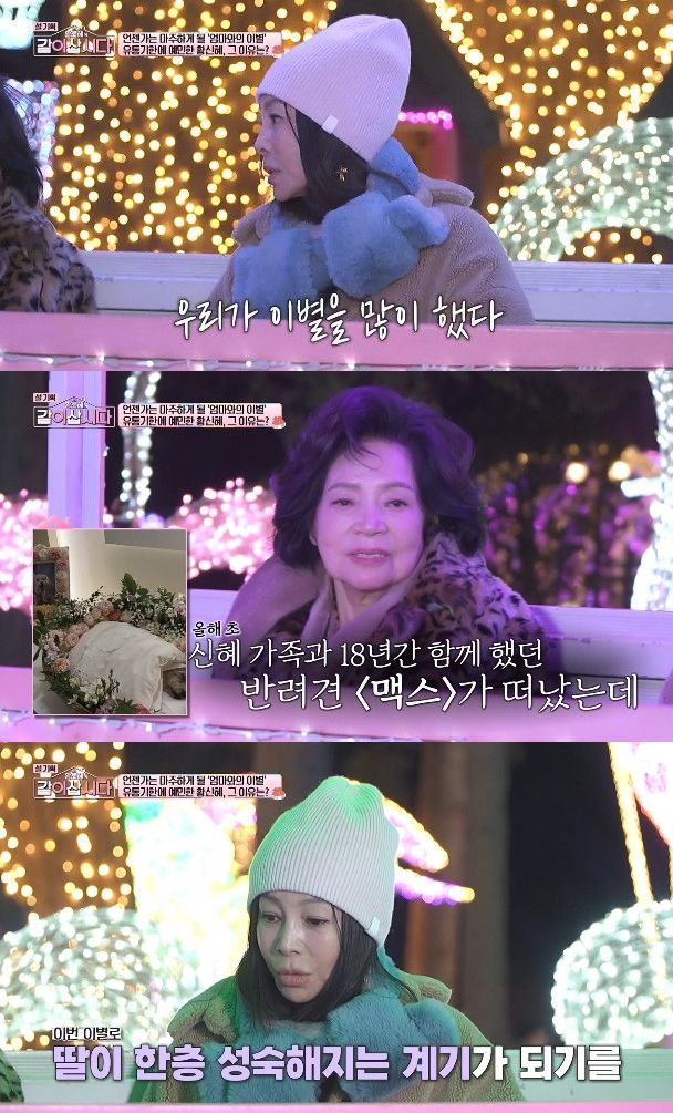 사진= KBS 1TV '황신혜의 같이 삽시다'