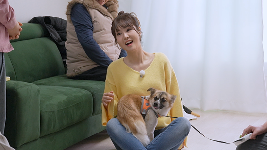 KBS 2TV '개는 훌륭하다'