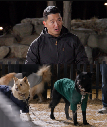 채널A '개와 늑대의 시간2'