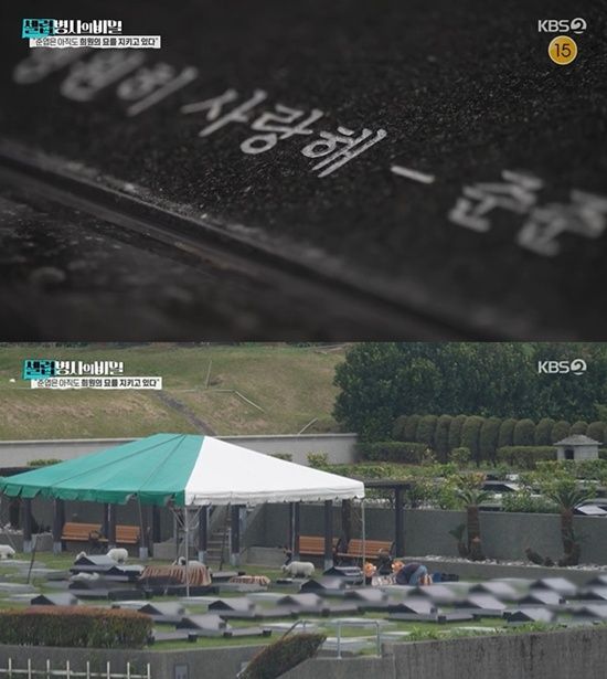 KBS 2TV '셀럽병사의 비밀'