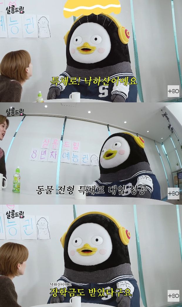 사진= 유튜브 '살롱드립'