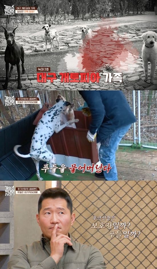 채널A '개와 늑대의 시간2'