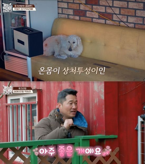 채널A '개와 늑대의 시간2'