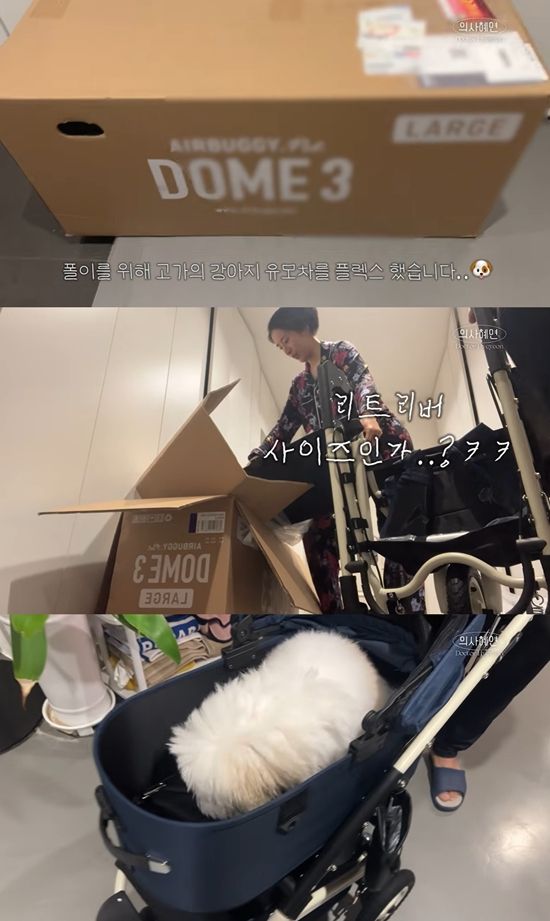 의사혜연 채널 캡처