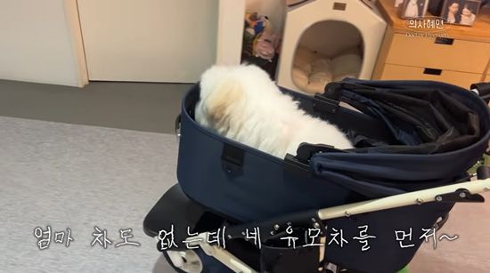 의사혜연 채널 캡처