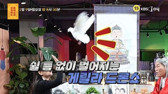 KBS Joy '무엇이든 물어보살'