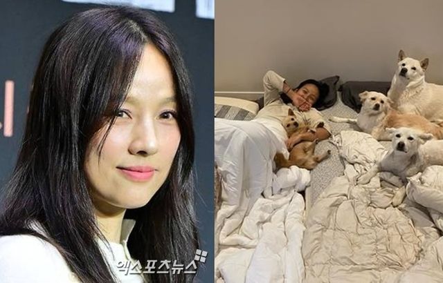 엑스포츠뉴스DB 이효리/이효리 계정 캡처