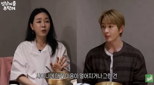 유튜브 '김정난'