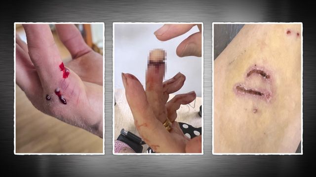 KBS2 ‘개는 훌륭하다’