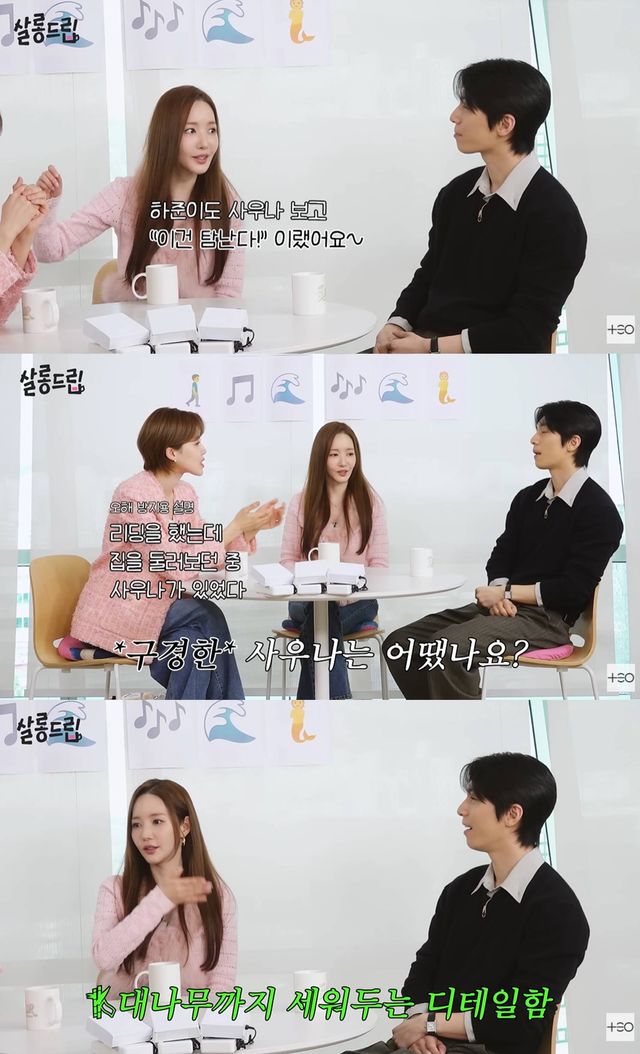 유튜브 'TEO 테오'