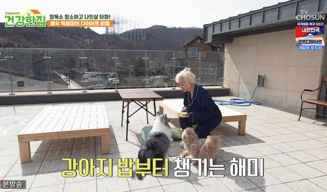 TV조선 '건강한 집2'