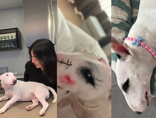 이혜영이 공개한 근황.