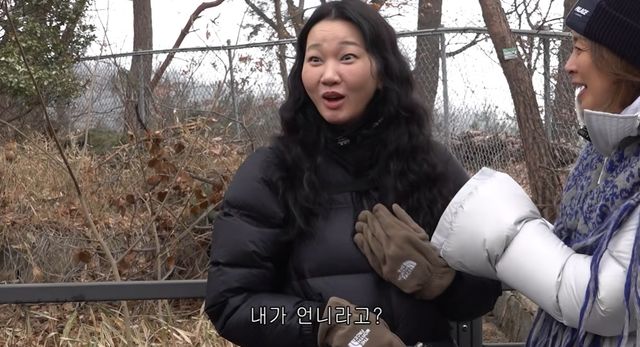 야노시호 유튜브