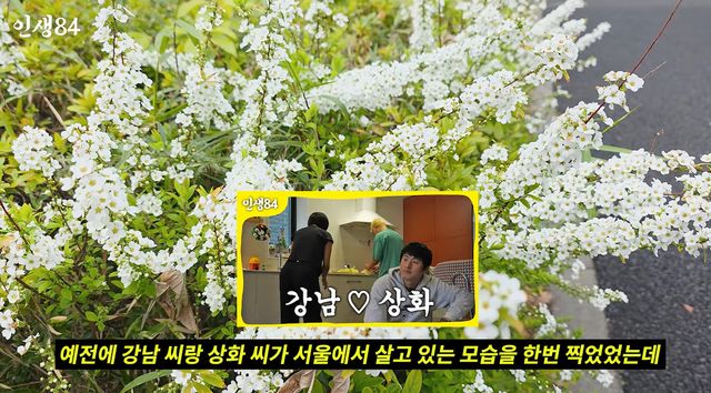 사진= 유튜브 '인생84'