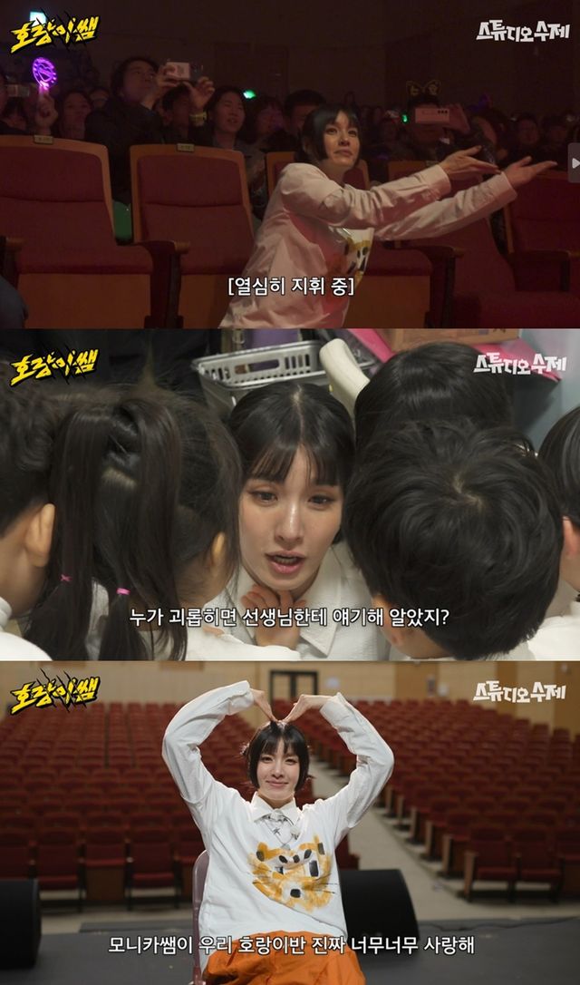 유튜브 '호랑이쌤'