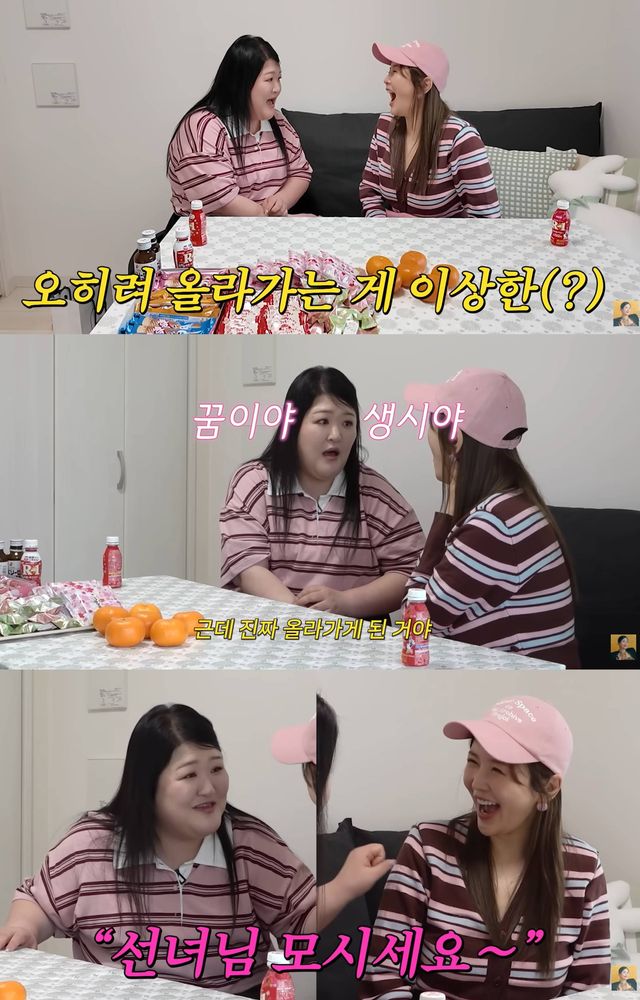 유튜브 'A급 장영란'