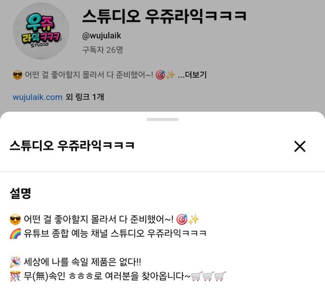 사진 = 유튜브 채널 '스튜디오 우쥬라익'