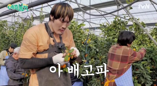 '예측불가' 방송 캡처