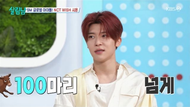 '살림하는 남자들' 방송화면 캡처