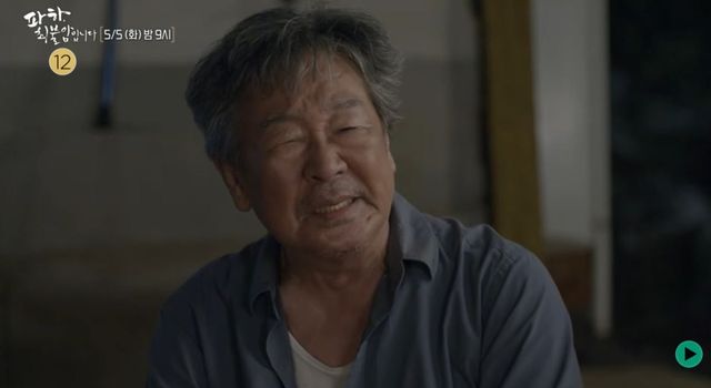 '파하, 최불암입니다'