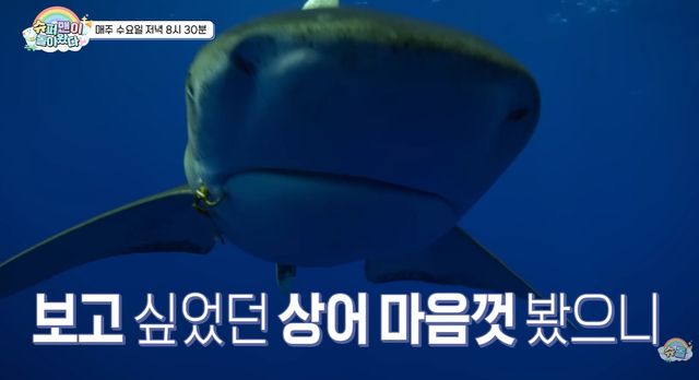 KBS 2TV '슈퍼맨이 돌아왔다' 캡쳐