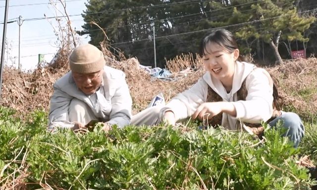 '나 혼자 산다' 아기맹수 이시현 셰프