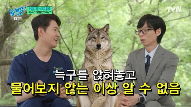 '유 퀴즈 온 더 블럭'