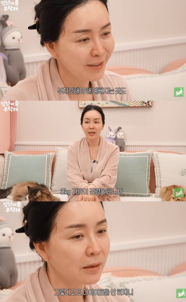 유튜브 채널 '김정난'