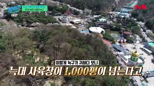 '유 퀴즈 온 더 블럭'