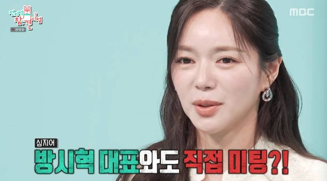 MBC '전지적 참견 시점'