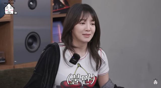 유튜브 '집대성'