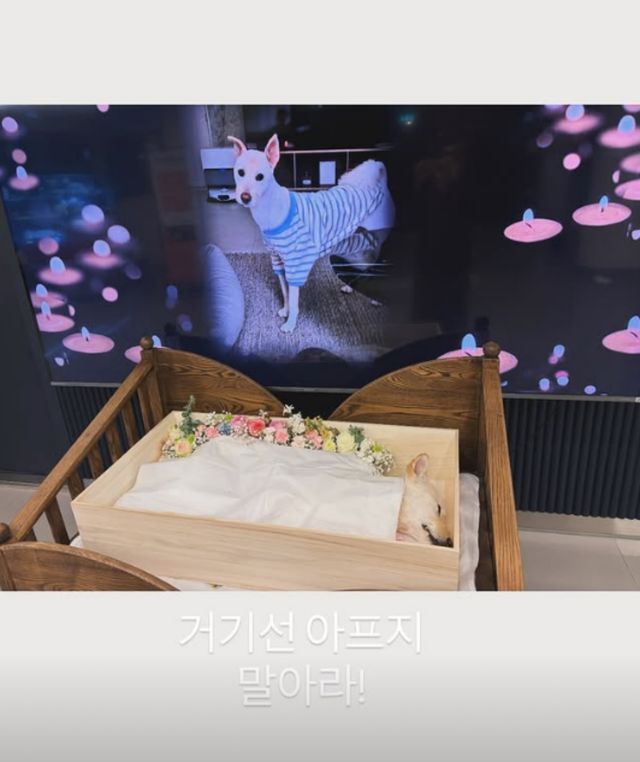 김고은 SNS.