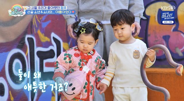 사진= KBS 2TV '슈퍼맨이 돌아왔다'