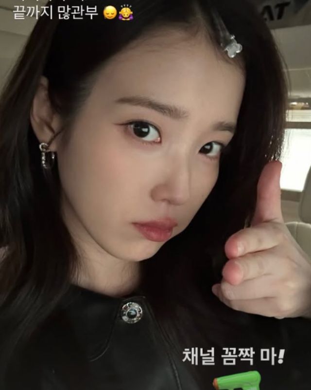 사진 = 아이유 인스타그램 스토리