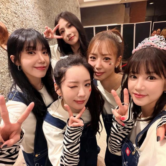 사진 = 박초롱 인스타그램 / 에이핑크 단체 사진