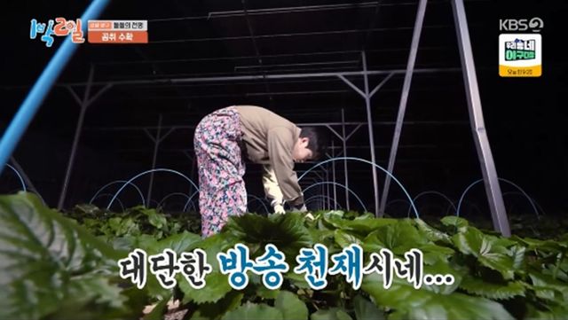 '1박 2일' 방송화면 캡처