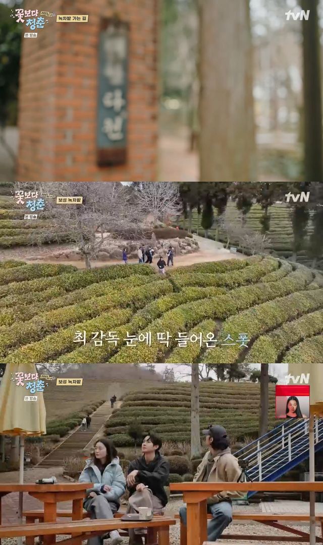 tvN '꽃청춘' 캡쳐